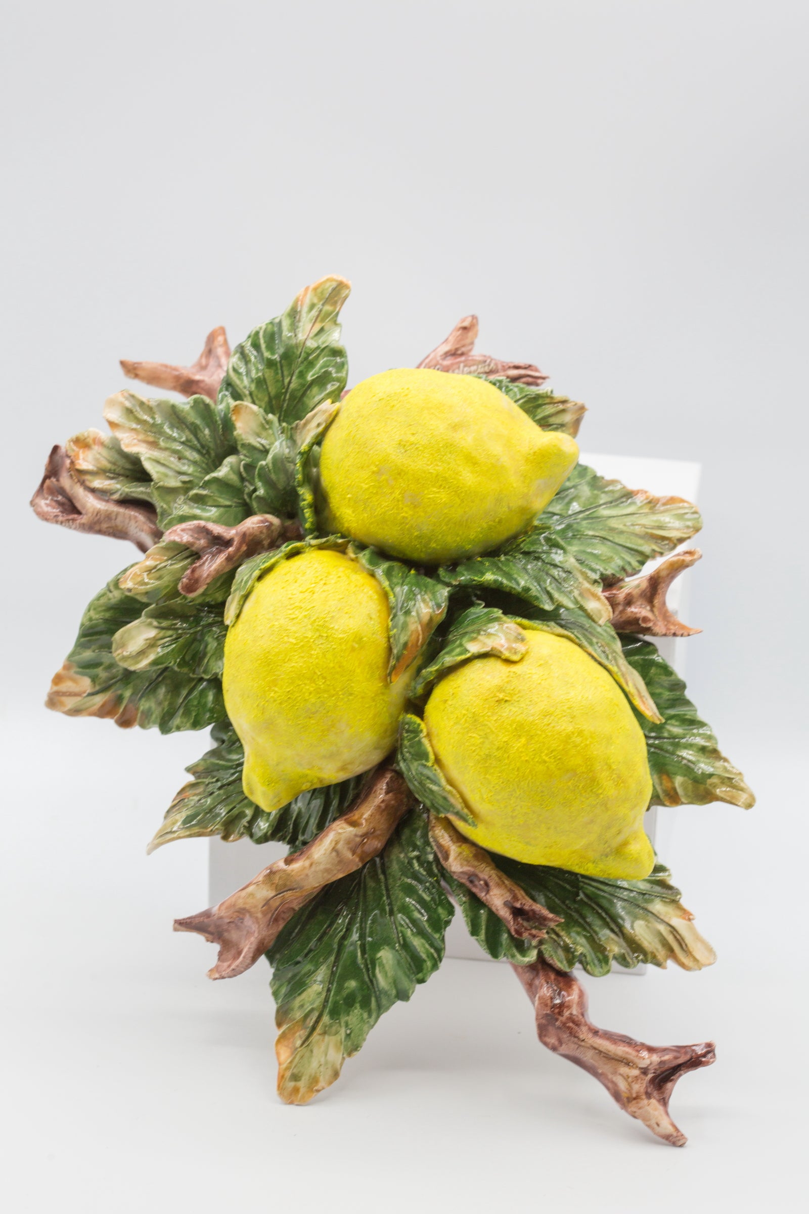 Tralcio di limoni