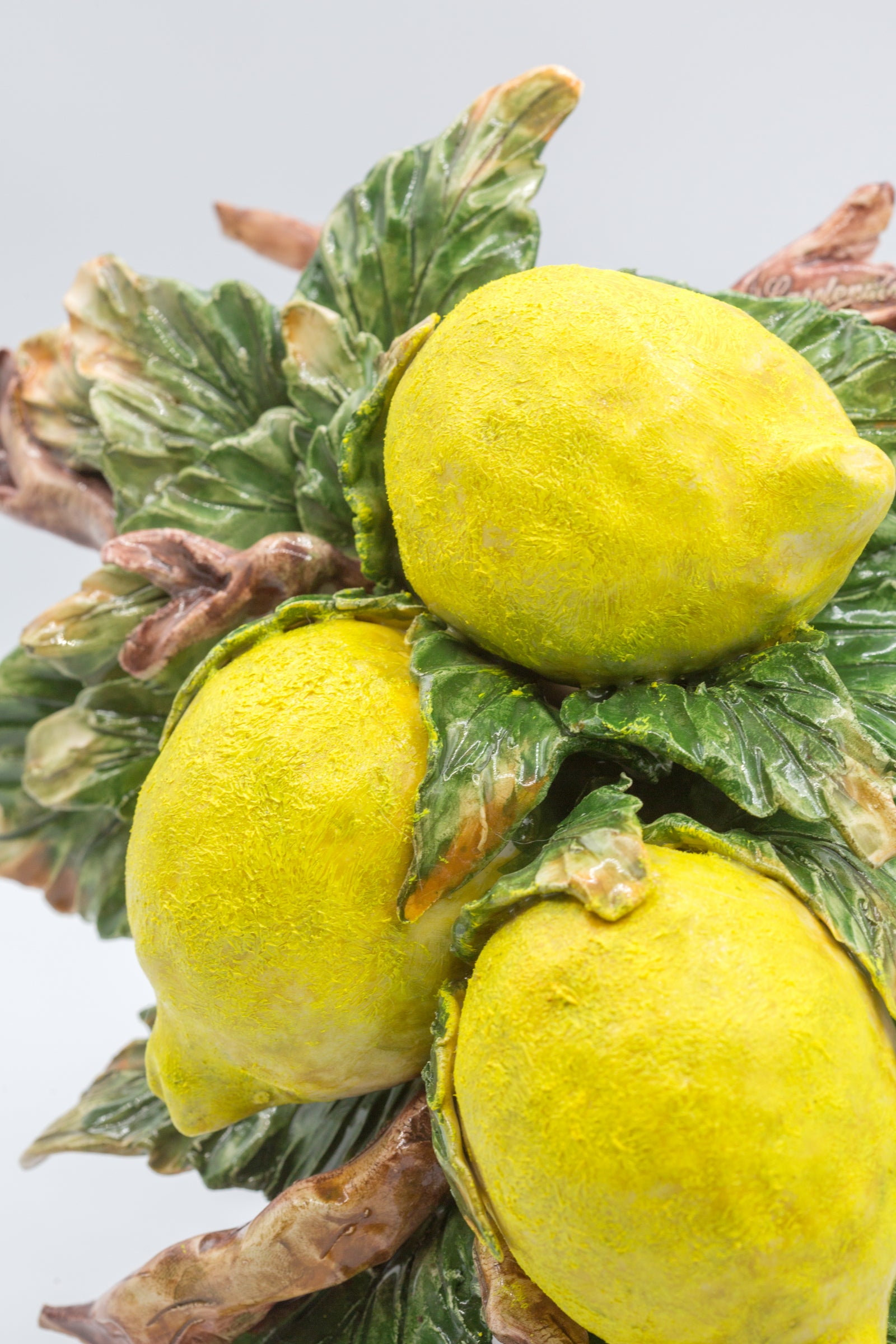 Tralcio di limoni