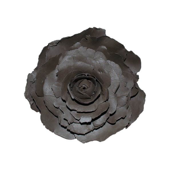 Rosa del vesuvio